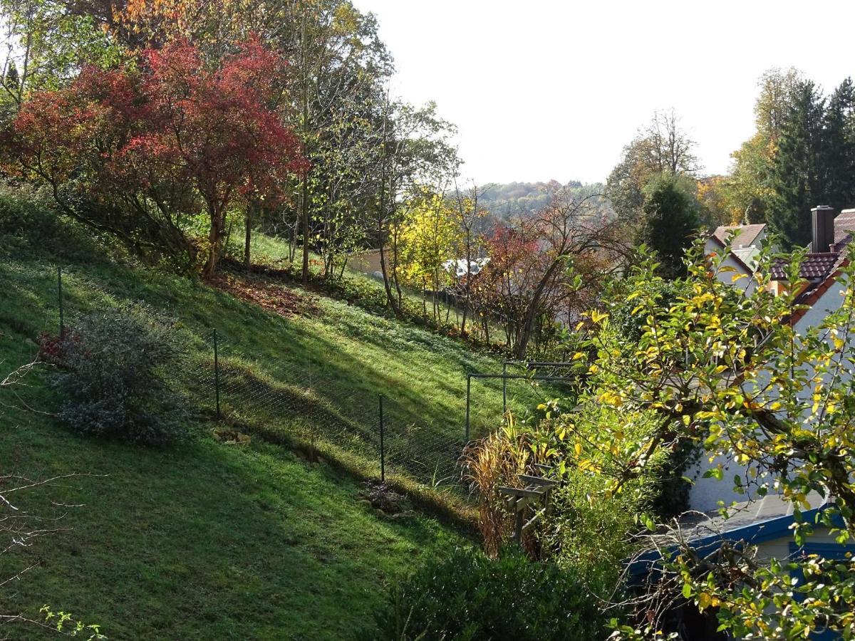 Ferienwohnung Beim Burgberg Bad Abbach Kültér fotó